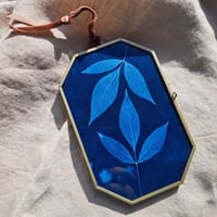 Image 1 of Ash Maple 4" x 6"