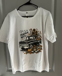 Pumpkin Patch Auto T (L)