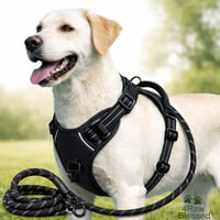 Image 1 of Arnés No-Pull Reflectivo para Perros | Ajustable y Cómodo – 4Paw Blessed