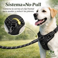Image 4 of Arnés No-Pull Reflectivo para Perros | Ajustable y Cómodo – 4Paw Blessed