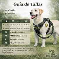 Image 5 of Arnés No-Pull Reflectivo para Perros | Ajustable y Cómodo – 4Paw Blessed