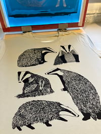 Image 7 of Badger Badger Badger T -shirt