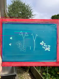 Image 6 of Twinflower card 