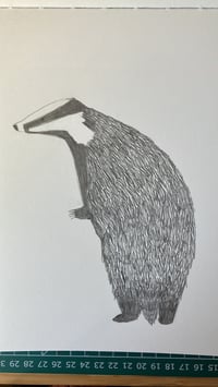 Image 10 of Badger Badger Badger T -shirt