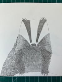 Image 9 of Badger Badger Badger T -shirt