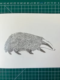 Image 11 of Badger Badger Badger T -shirt