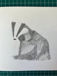 Image 12 of Badger Badger Badger T -shirt