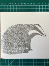 Image 13 of Badger Badger Badger T -shirt