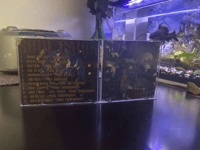 Image 4 of SUOENT SOUL CAIRN CD