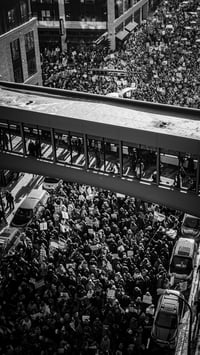 Image 7 of Digital Download - Album of ICE OUT Protest Photos 