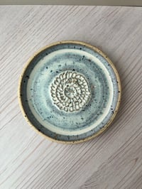 Image 1 of Garlic Grater Plate
