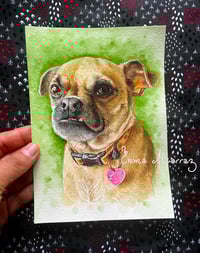 Image 6 of Custom pet watercolor painting 100% handmade- various sizes