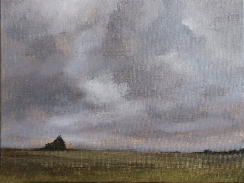 Image of Paysage au ciel gris