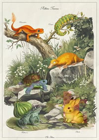 Image 1 of Palletus Townus - Fine art print