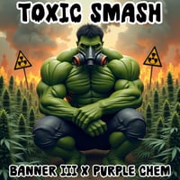 Toxic Smash (Auto Fem)