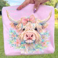 Blush Belle Highland