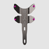 Image 2 of  Titanium Dragonfly 