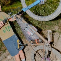 Image 4 of Stainless Dragonfly