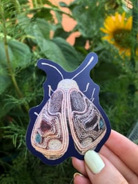 Moth Angel sticker