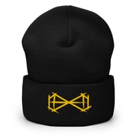 DXW Beanie