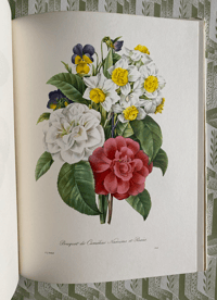 Image 6 of Redoute's Fruits and Flowers