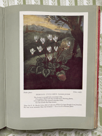 Image 4 of The Gardener's Album