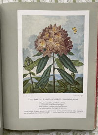 Image 5 of The Gardener's Album