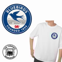 Image 2 of Cardiff City Print.