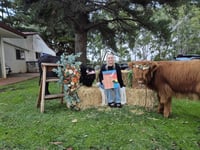 Image 1 of Sip, Paint and Pat  - 12/04/26