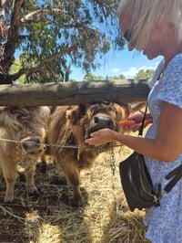 Image 5 of Sip, Paint and Pat  - 12/04/26