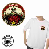 Image 2 of Wales Football Print. 