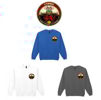 Image 6 of Wales Football Print. 