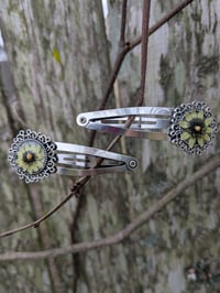 Image 1 of Dried Flower Mustard Seed Hair Clip