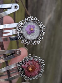 Image 3 of Dried Flower Mustard Seed Hair Clip