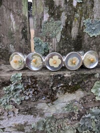 Image 1 of Bar Hair Clips