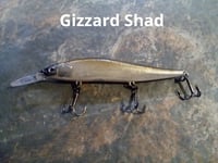 Image 2 of  Shad 110+1 KO