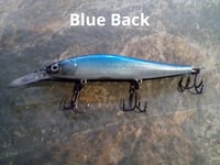 Image 3 of  Shad 110+1 KO