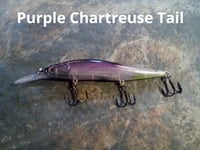 Image 4 of  Shad 110+1 KO