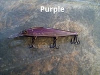 Image 5 of  Shad 110+1 KO