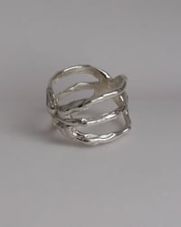 Image 2 of spider ring