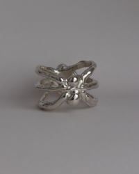 Image 1 of spider ring I