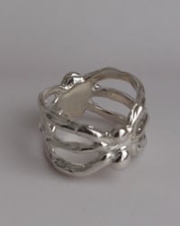 Image 2 of spider ring I