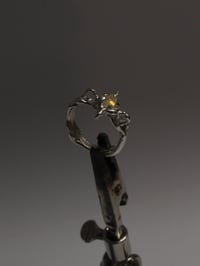 Image 2 of compas ring 