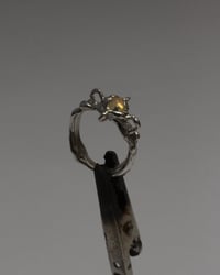 Image 1 of compas ring 