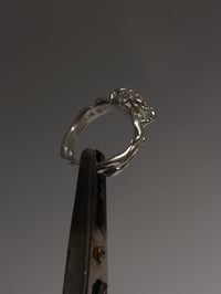 Image 4 of compas ring 