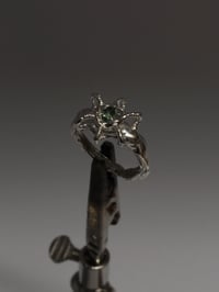 Image 2 of globe ring