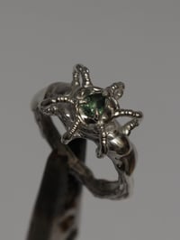 Image 1 of globe ring