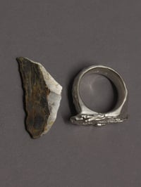 Image 4 of grain ring