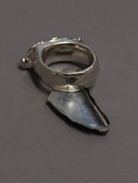 Image 3 of grain ring