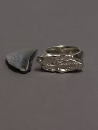 Image 5 of grain ring